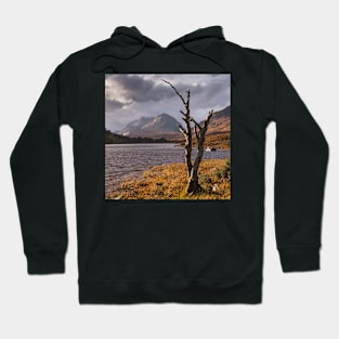 Loch Clair Hoodie